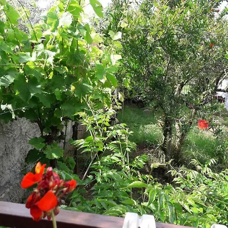 Stella Apartament *